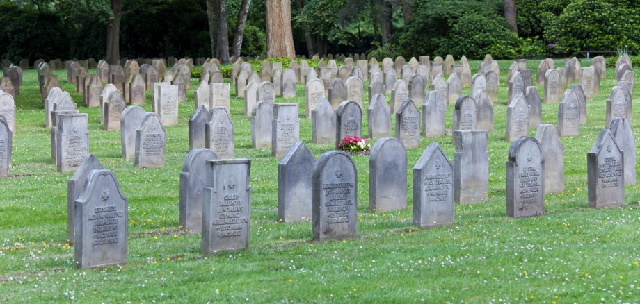 The photo shows a cemetery with long rows of gravestones. Fresh flowers are planted in front of one of the gravestones.