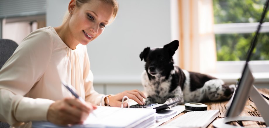 The photo shows a dog lying on its owner's desk, who is doing paperwork in front of a computer.
