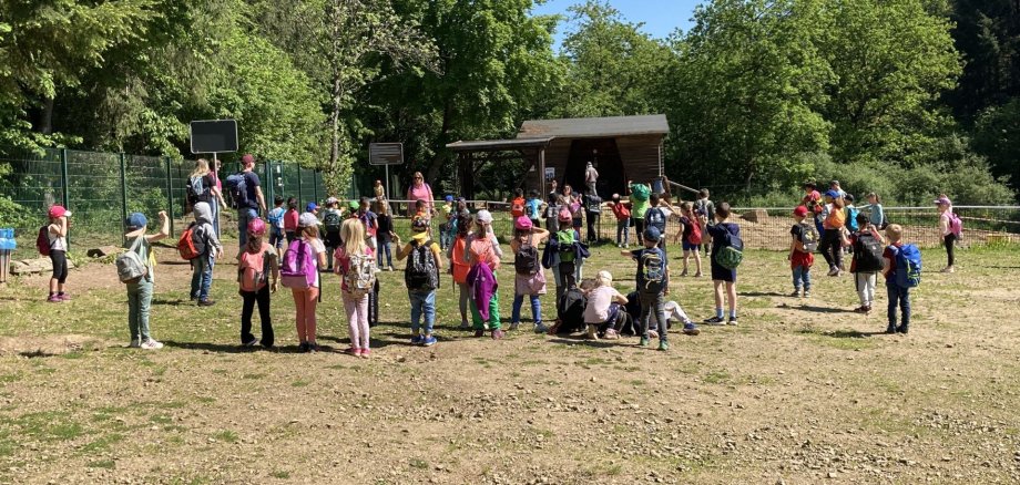 The children from the Algenrodt daycare center, the Enzweiler daycare center and the Algenrodt elementary school searched for gemstones on the Steinkaulenberg mining field.