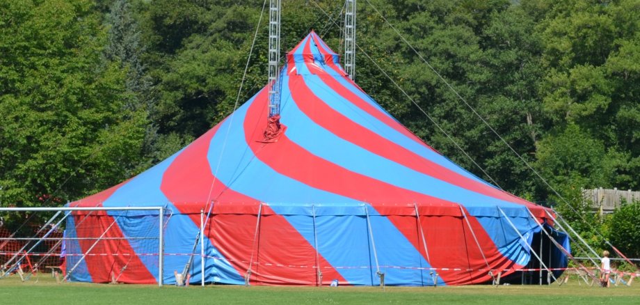 The photo shows a large, blue and red striped circus tent standing on a meadow.