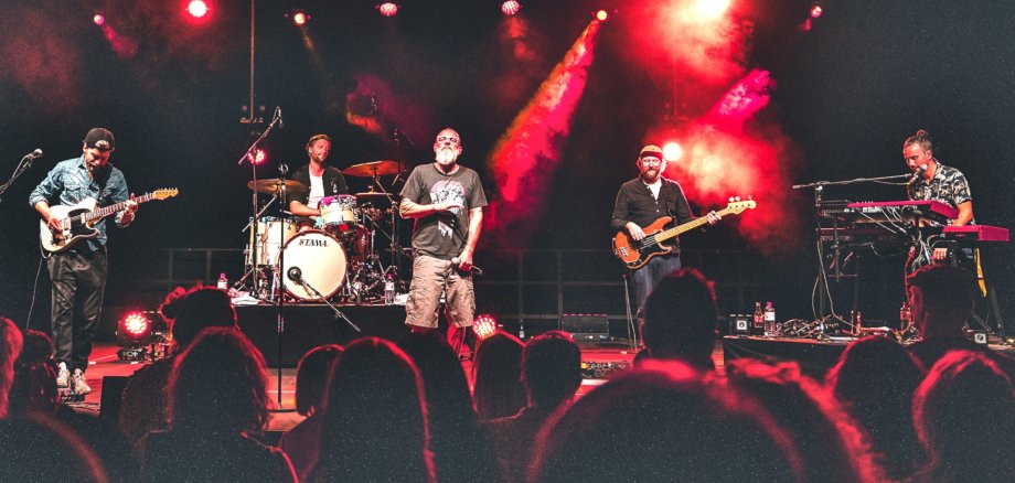 La photo montre les musiciens sur scène pendant le concert, avec des têtes de spectateurs au premier plan.