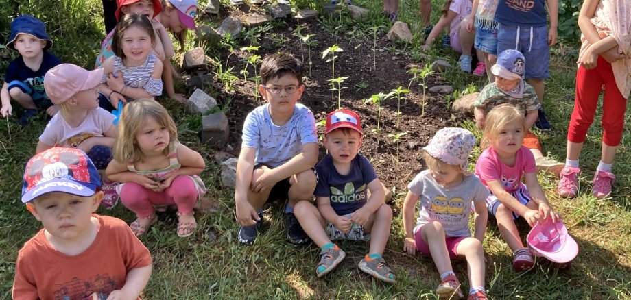 La photo montre de nombreux enfants de la crèche assis autour d'un parterre de tournesols plantés dans le jardin de la crèche.